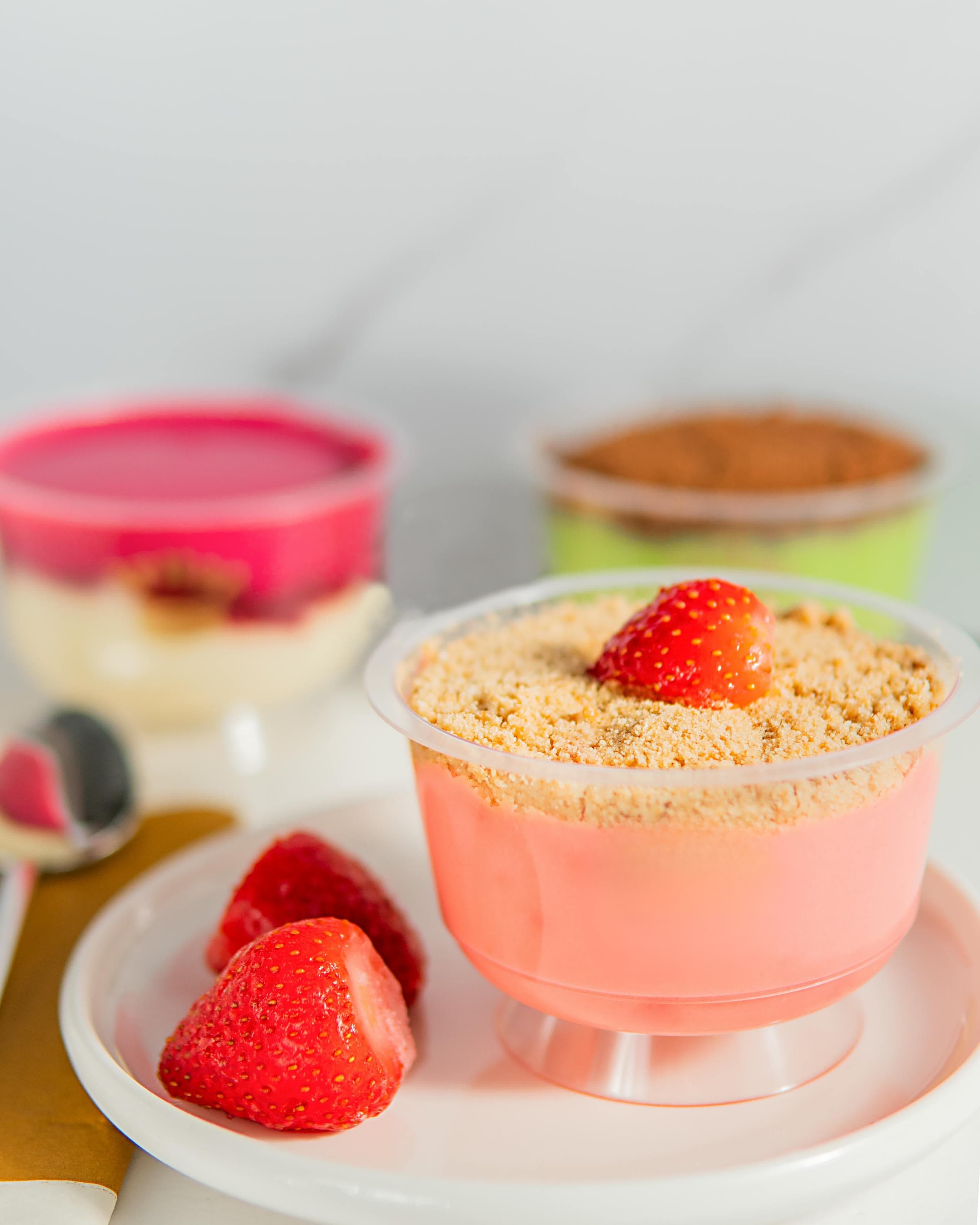 Puding Ailesi